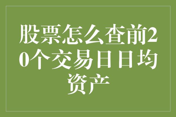 股票怎么查前20个交易日日均资产