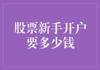 股票新手开户要多少钱：探索入门级别的投资准备金