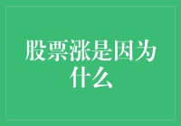 股票涨了？是因为股市中的天选之子被婴儿车推着去上学了吗？