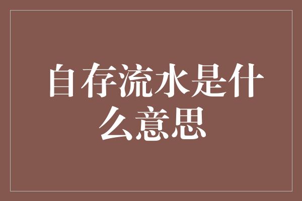 自存流水是什么意思