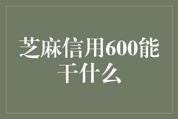 芝麻信用600能干什么