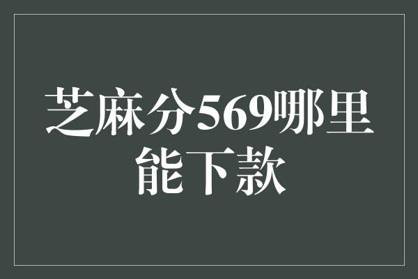 芝麻分569哪里能下款