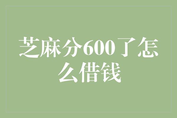 芝麻分600了怎么借钱