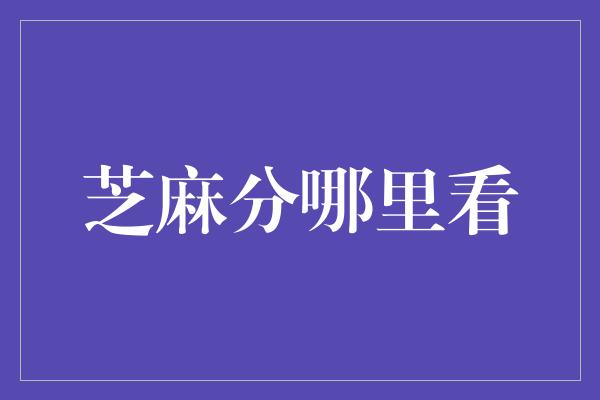 芝麻分哪里看