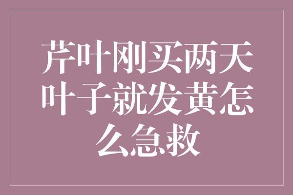 芹叶刚买两天叶子就发黄怎么急救