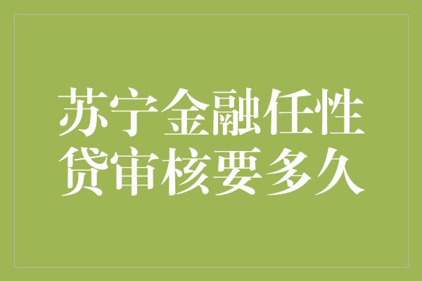 苏宁金融任性贷审核要多久