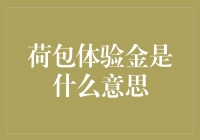 从憨豆先生的探险记看来，荷包体验金是什么意思？