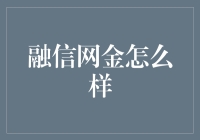 融信网金：金融科技的破圈者，探索金融创新的边界