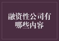 融资性公司的范畴及其核心内容解析