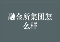 融金所集团的综合评析与行业地位探究