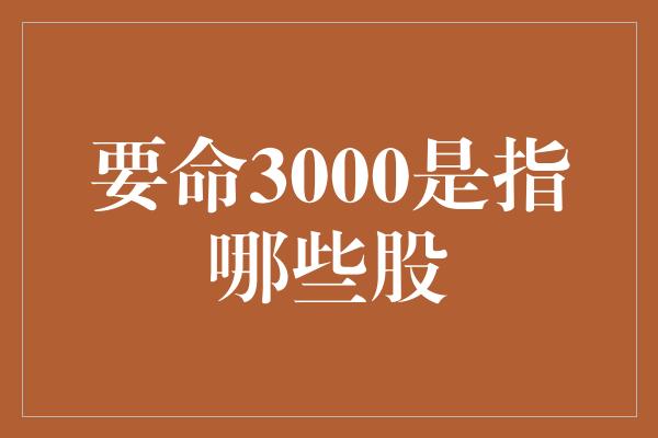 要命3000是指哪些股