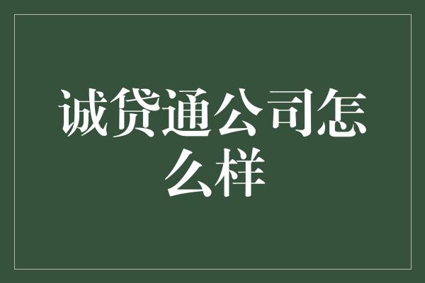 诚贷通公司怎么样