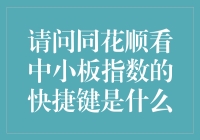 同花顺快捷键大揭秘：如何用手指跳舞看中小板指数