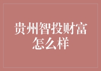 贵州智投财富：互联网金融行业的创新与挑战