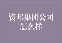 资邦集团公司：新金融模式下的创新与挑战