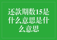 理解还款期数15：贷款还款计划中的重要概念解析