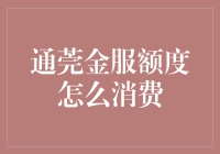 通莞金服额度消费指南：解锁高效金融消费新方式