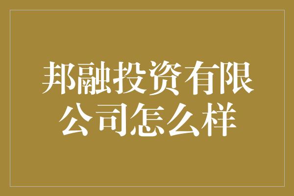 邦融投资有限公司怎么样