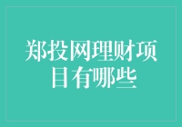 郑投网理财项目的多元化探索与实践