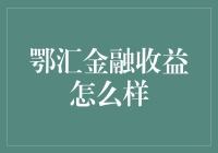 鄂汇金融收益分析与投资策略探讨