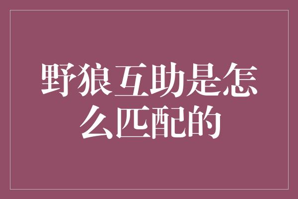 野狼互助是怎么匹配的