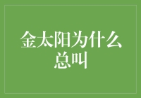 金太阳：为何总是呼唤着相同的乐章？