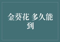 金葵花财富管理方案：快速积累还是稳健增长？