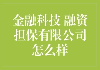 金融科技融资担保公司的发展前景与挑战