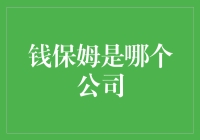 钱保姆到底是哪个公司？揭秘金融界的神秘新势力！