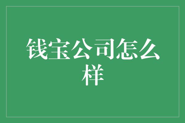 钱宝公司怎么样