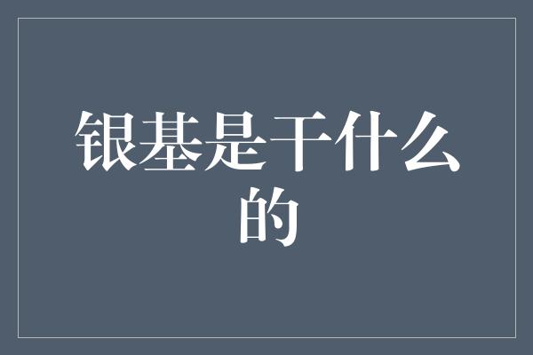 银基是干什么的