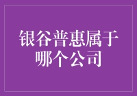 银谷普惠：探索其背后的金融集团与业务领域