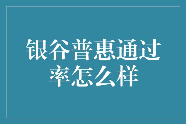 银谷普惠通过率怎么样