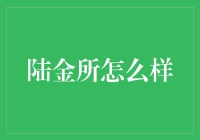 陆金所：互联网金融服务的革新者与未来