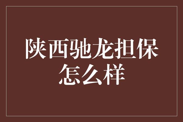 陕西驰龙担保怎么样