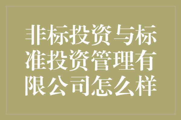 非标投资与标准投资管理有限公司怎么样