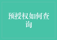 互联网+时代下的预授权查询：便捷与安全的双管齐下