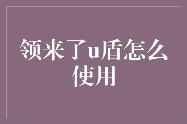 领来了u盾怎么使用