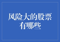 高风险高回报：剖析当前市场中最具争议的股票