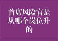 谁是首席风险官晋升之路上的关键角色？