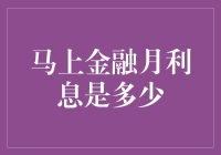 探索马上金融月利息的奥秘：一场理财之旅