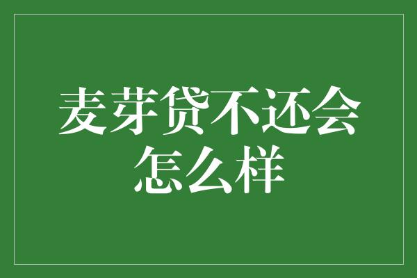 麦芽贷不还会怎么样