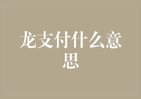 龙支付：打造便捷、安全的支付新纪元