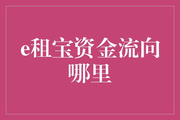 e租宝资金流向哪里