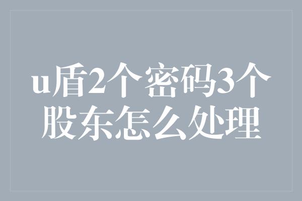 u盾2个密码3个股东怎么处理