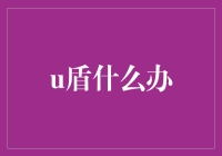 数字安全的守护者：如何正确使用与管理U盾